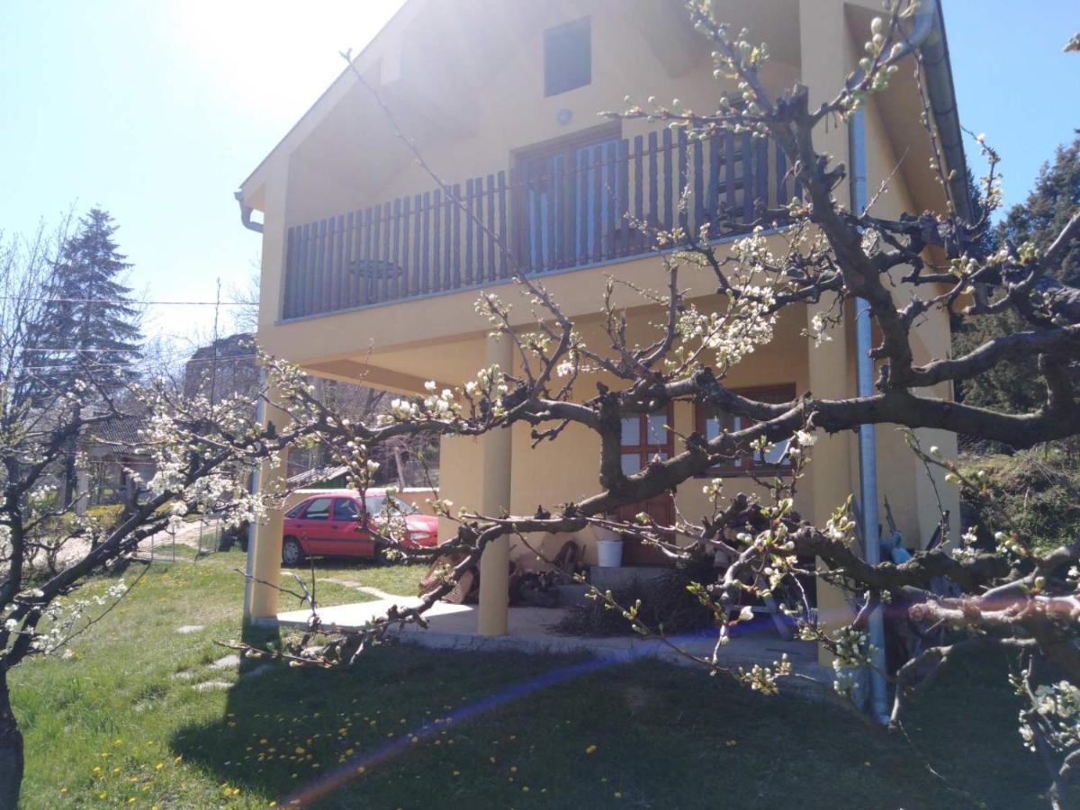 Villa Dedinje Jagodina Exterior foto