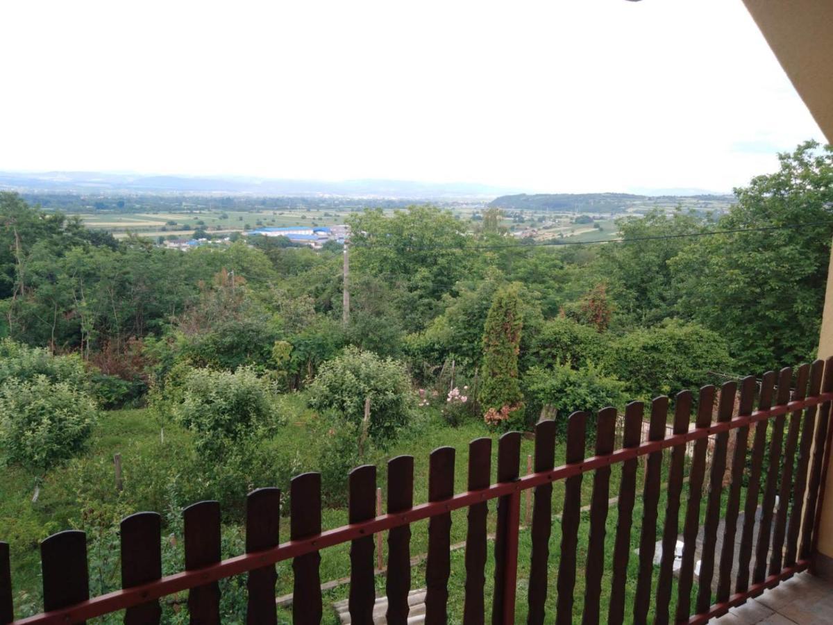 Villa Dedinje Jagodina Exterior foto